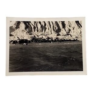 Vtg B&W Photo 1940s Found Seal Island Seals on Rocks Ocean Snapshot Animalcore